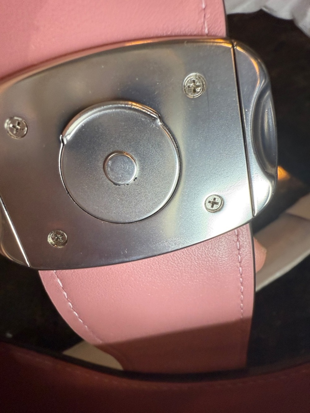 Coach Eliza Rose Pink Leather Shoulder Bag with Silver-Tone Clasp - Picture 12 of 15